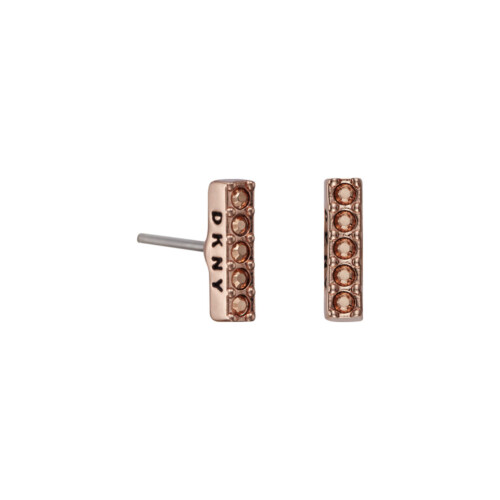 DKNY DKNY 5520082 Ladies Earrings