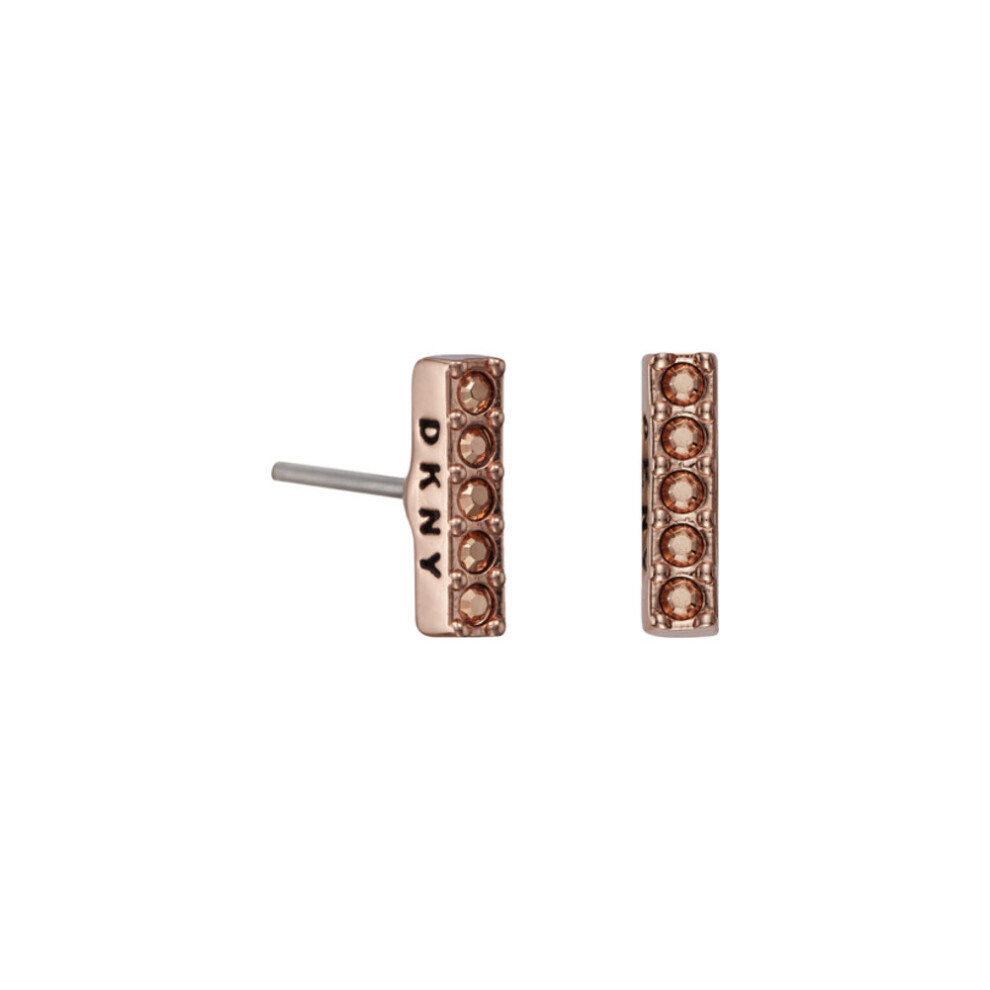 DKNY 5520082 Ladies Earrings