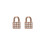 DKNY DKNY 5520121 Ladies Earrings 1