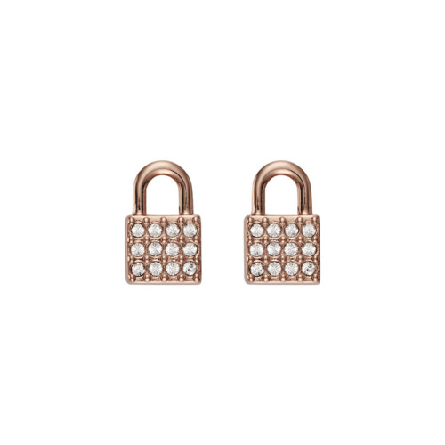 DKNY DKNY 5520121 Ladies Earrings