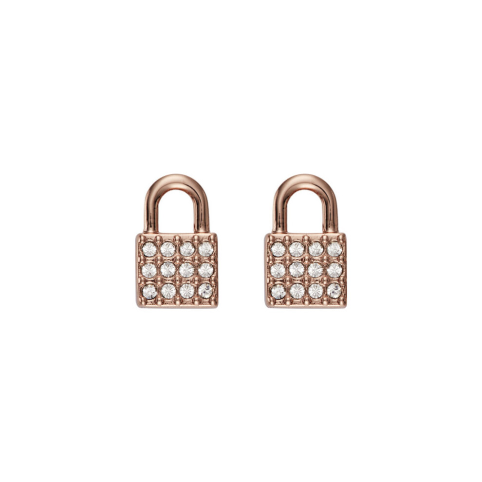DKNY 5520121 Ladies Earrings