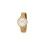 Police Police PL16035MSG.22MM Ladies Watch 1