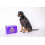 Chewdles Charcoal Enriched Bones 10kg 4