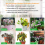 6-in-1 Soil Tester: pH, Temperature, Humidity, Sunlight & Air Moisture Detector with Backlit Digital Display 6