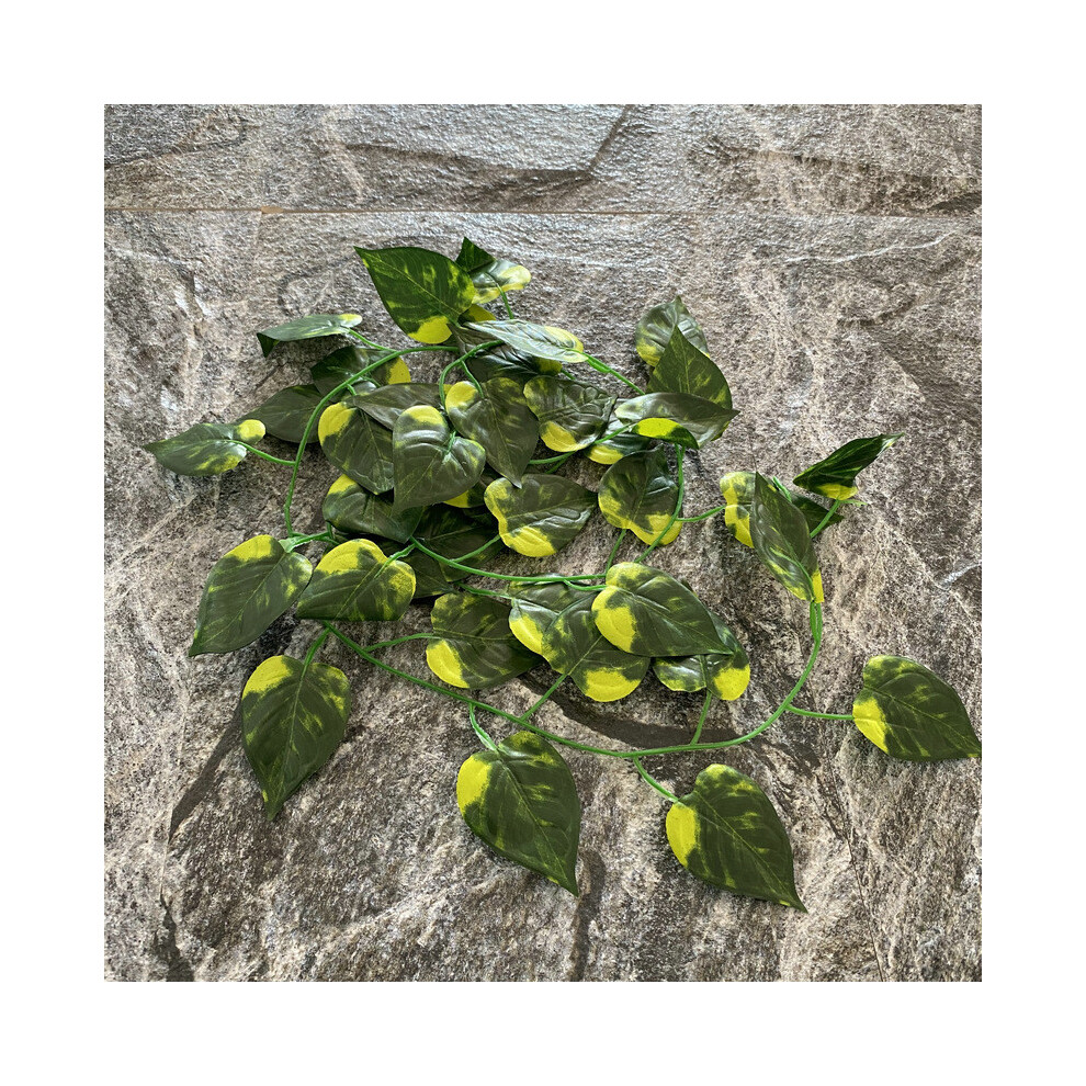 (40 Epipremnum Aureum) Bostonivy Simulation Epipremnum Aureum Maple Leaves Artificial Green Plants-image-OPC-PHF2QPQ-NEW