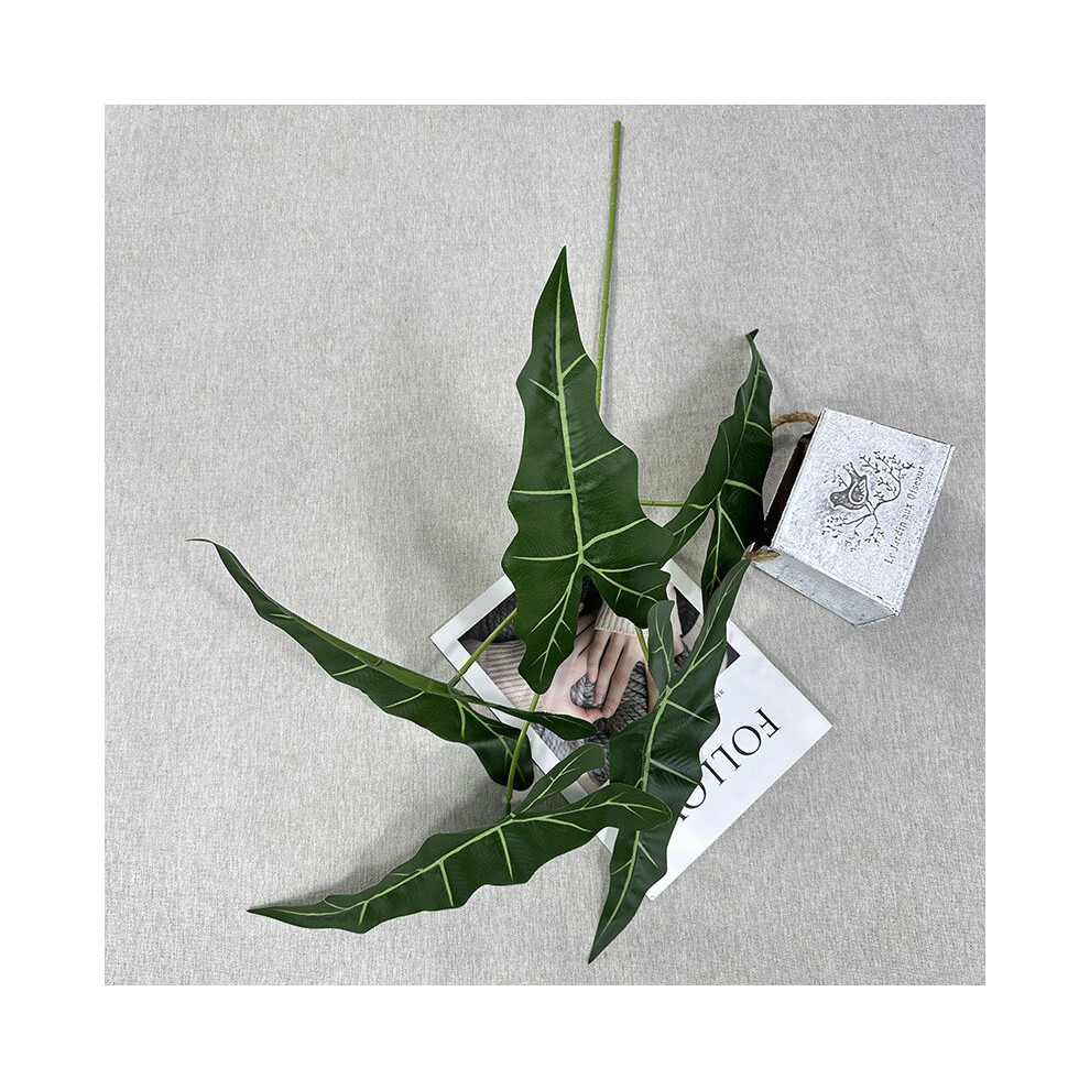 (Deep Green) Simulated Plant Alocasia Odora Mall Hotel Courtyard Plant Green Decoration-image-OPC-PHF58RX-NEW