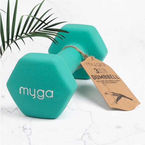 Myga 3kg Hex Dumbbell 1