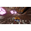 Transformers: Galactic Trials 2