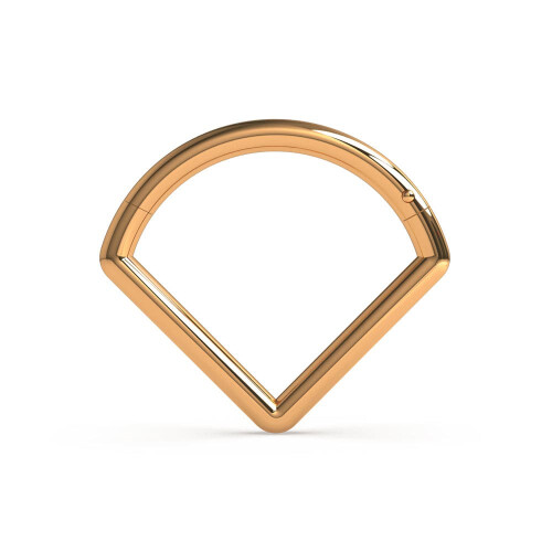 (Gold, 10mm) 316L Surgical Steel V-Shape Hinged Segment Ring 1