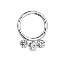 (Plain, 8mm) G23 Titanium and CZ Studded Hinged Segment Clicker Ring