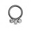 (Plain, 8mm) G23 Titanium and CZ Studded Hinged Segment Clicker Ring 2