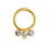(Plain, 8mm) G23 Titanium and CZ Studded Hinged Segment Clicker Ring 4