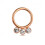 (Plain, 8mm) G23 Titanium and CZ Studded Hinged Segment Clicker Ring 5