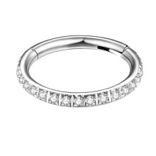 (Silver, 9mm) 316L Surgical Steel Micro Setting CZ Stones in Hinged Segment Clicker Ring