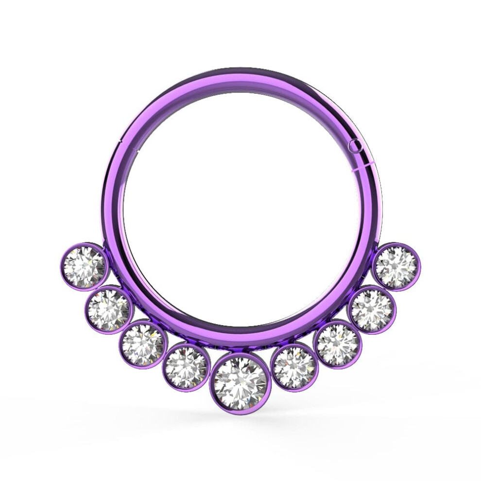(Anodised Purple, 12mm) 316L Surgical Steel and CZ Stones in Bezel Set Hinged Segment Ring-image-OPC-PHF7HWS-NEW