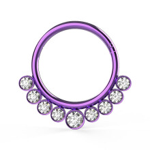 (Anodised Purple, 12mm) 316L Surgical Steel and CZ Stones in Bezel Set Hinged Segment Ring
