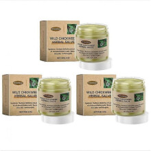 (3PCS)1/2/3PCS Chickweed Herbal Salve Skin Redness Relief Anti-itch Cream All Purpose Soothing Skin Balm Produits de soins de la peau