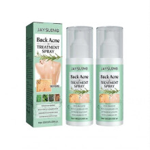 (2PCS) 1/2/3PCS Back Acne Repair Spray Fades Pockmarks Repair Back Back Shoulder Acne 120ml