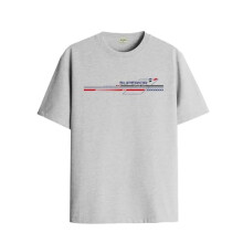 ADRO Heren T-shirt met grafische print van 100% katoen - Regular Fit, bedrukte T-shirts voor heren (RN24-RAC-GR_Grey_S)