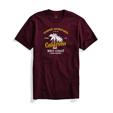 ADRO Summer Adventures California Heren T-shirt met print (XL, kastanjebruin)