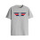 ADRO Heren Solid Regular Fit T-shirt (RN24-CAP-GR_Grijs 1