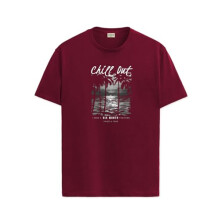 ADRO Mens Nature Graphic Tshirt - Premium Cotton T-Shirt with Stunning Nature Design - Best for Outdoor Enthusiasts Print Maroon T Shirt|RN24-CHILL-MR