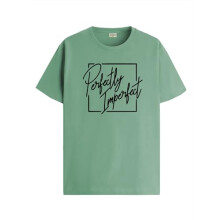 ADRO Mens Printed T Shirt - Premium Cotton Graphic Printed Tshirt - Pista T-Shirt - RN24-FECT-PT-M