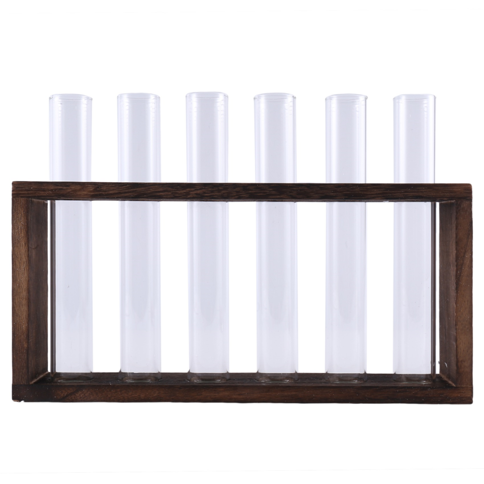 Terrarium pour plantes avec support en bois, station de propagation vivante à suspendre au bureau ou au mur, tubes en verre hydroponiques