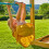 TP Skywood Sky Deck - FSC certified 5