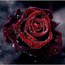 Andere Wanddekoration5D DIY Diamant-Malerei-Kits Rosa Blume Vollbohrer Kristall Strass Malerei Diamant Stickerei