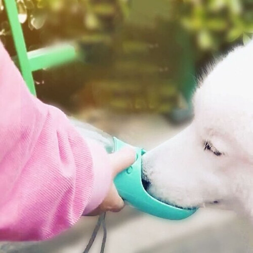 Garrafa turística com tigela para cães, 350 ml, azul