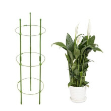 Support de plantes avec des fleurs