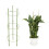 Supporto per piante con fiori 2
