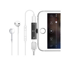 Lightning-Adapter für iPad und iPhone 2in1