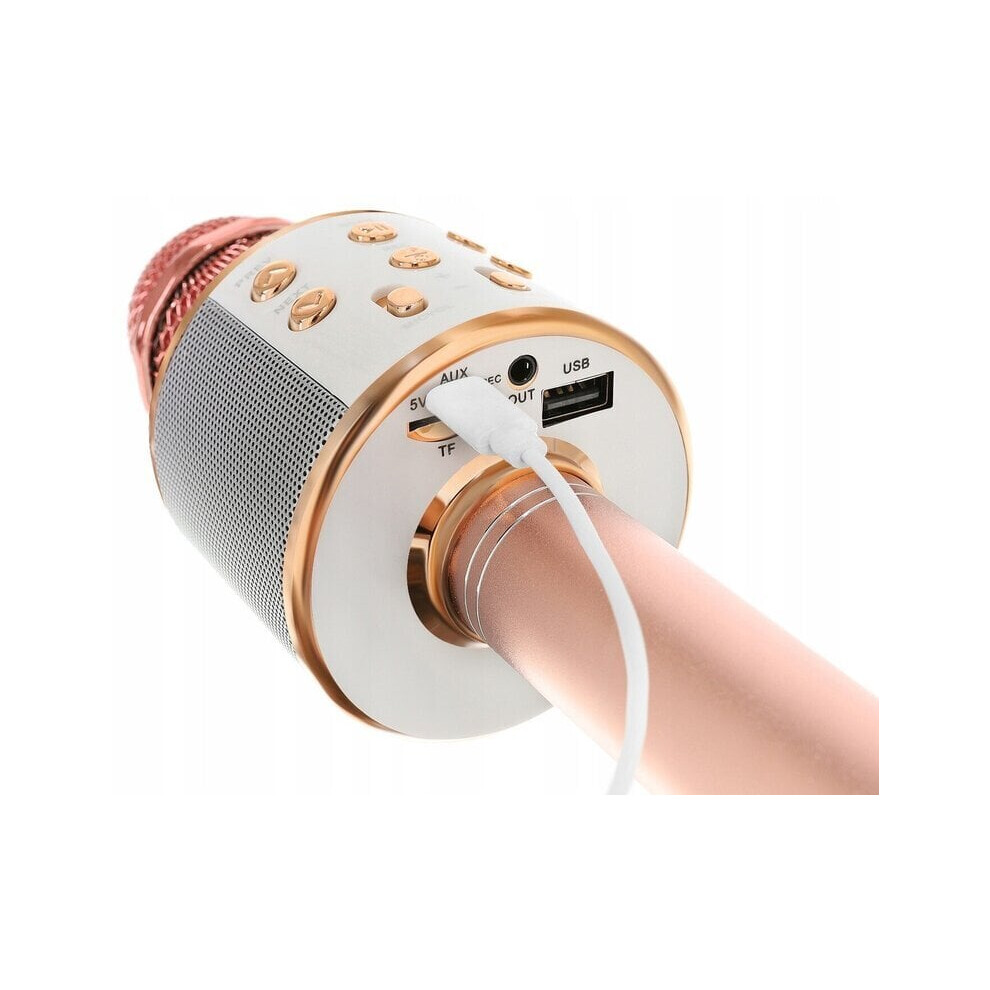 Microphone karaoké sans fil, haut-parleur Bluetooth 4