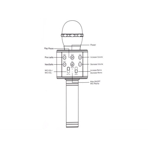 Microphone karaoké sans fil avec haut-parleur, noir