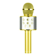 Microphone karaoké avec haut-parleur, microphone sans fil, portable sans fil