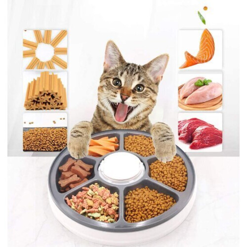 Dispensador de ração seca para cães e gatos, automático