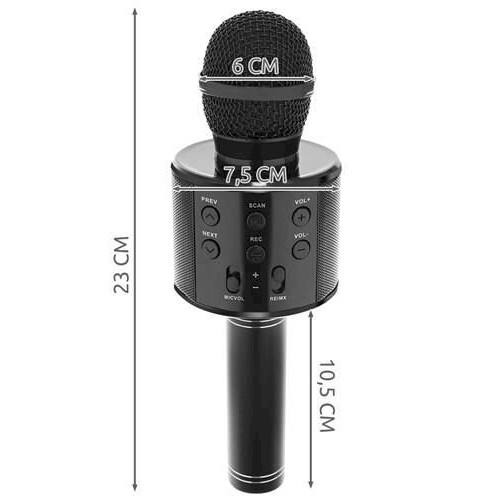 Microphone de karaoké Goodbuy