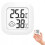 Thermometer mit Hygrometer 1