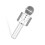 Microphone Bluetooth karaoké 2