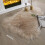 1pc Single Color Irregular Shape Carpet, Beige 1