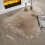 1pc Single Color Irregular Shape Carpet, Beige 2