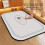1 pc. Bathroom Door Absorbent Floor Mat, White 2