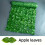 Artificial Hedge Screen for Boys, UV Resistant., Apple Leaves 2