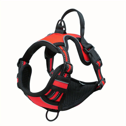 Aparelho ortodôntico para cães, vermelho