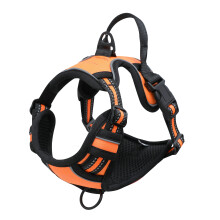 Aparelho ortodôntico para cães, laranja