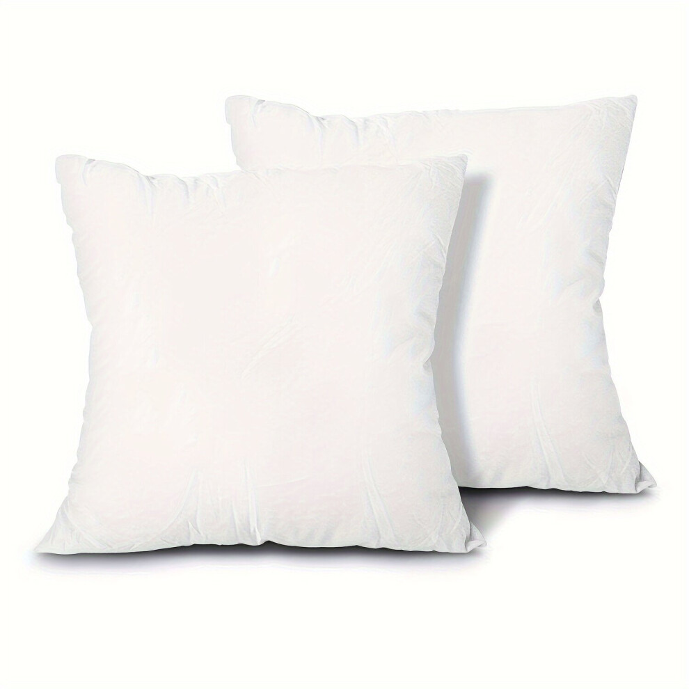 Housses de coussin décoratives de style classique, 2 pièces, 16x16 (40x40 cm)