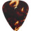 Fender 70e Verjaardag Pick Tin (12) 3