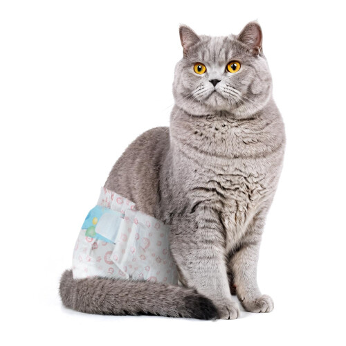 Picture of Disposable Cat Diapers 40 Count - Perfect for Both Male and Female Cats ...